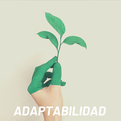 Valores de Triajock