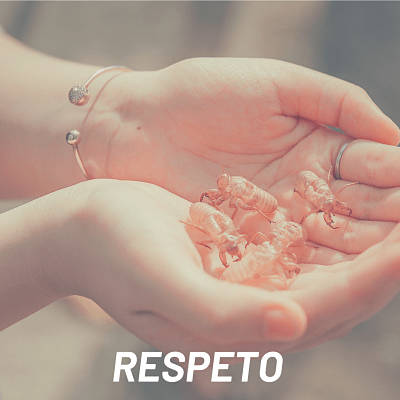Valores de Triajock